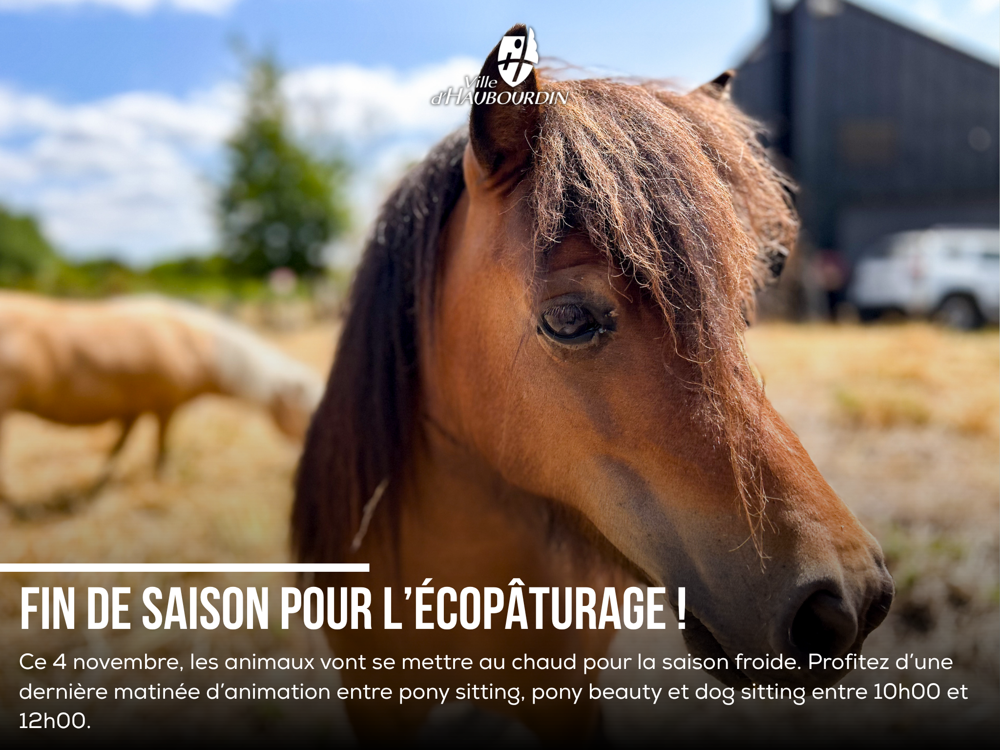 Le 4 novembre, une série d'animation aura lieu entre 10h et 12h00 avant que les animaux ne partent se mettre au chaud, à l'arrière de la Ferme du Bocquiau.